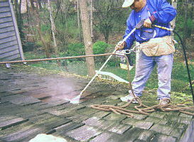 Cleaning the Roof